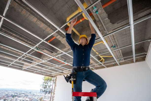 Best Plumbing Services Near Me  in Oberlin, OH